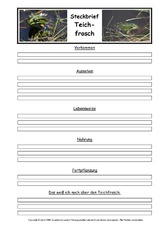 Teichfrosch-Steckbriefvorlage.pdf